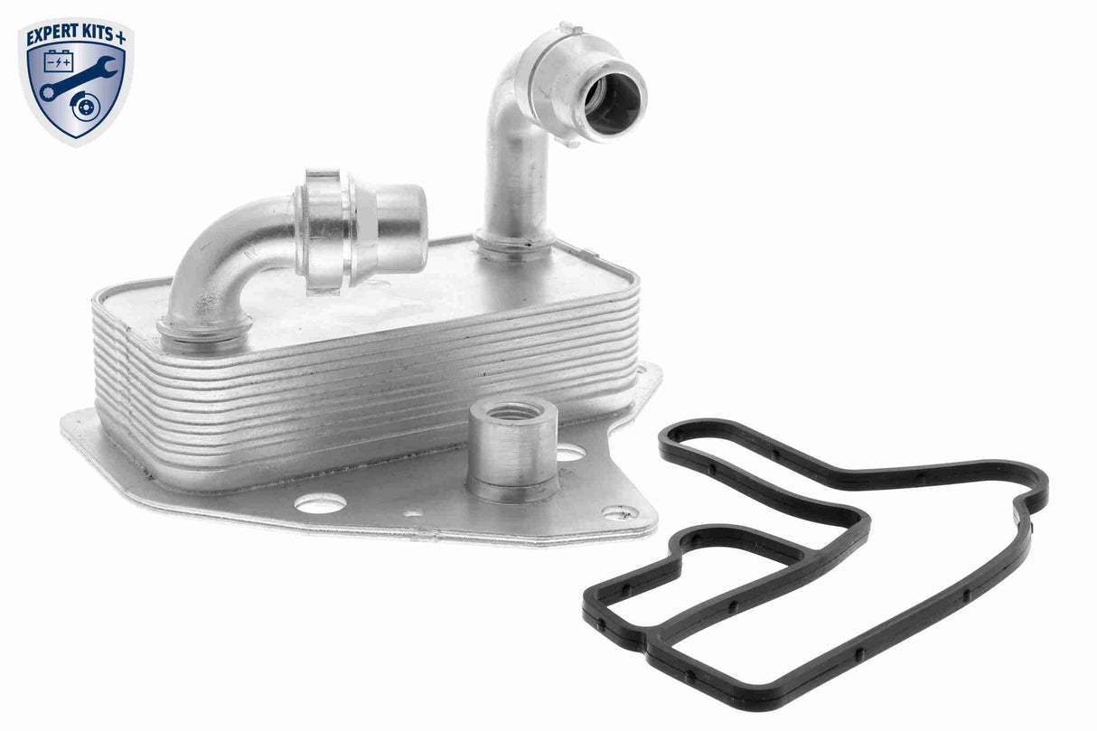 Oil Cooler, engine oil - V24-60-0051