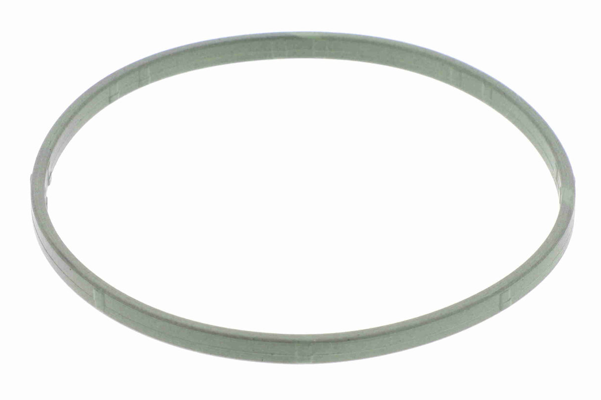 Gasket, throttle body - V10-81-0143