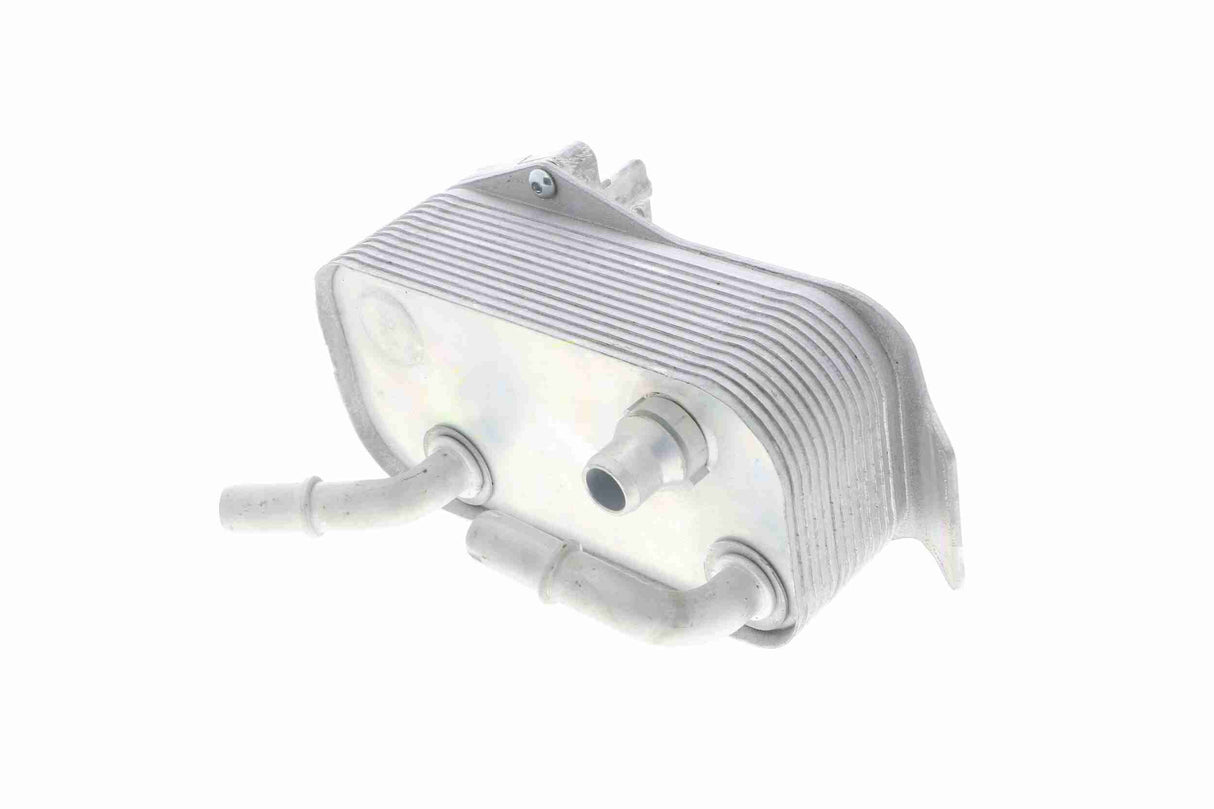 Oil Cooler, engine oil - V20-60-0040
