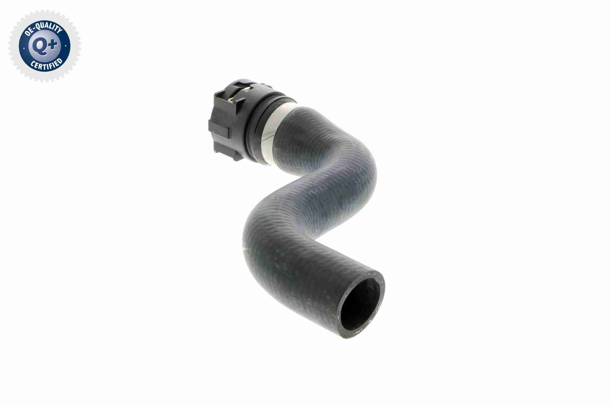 Radiator Hose - V48-0147