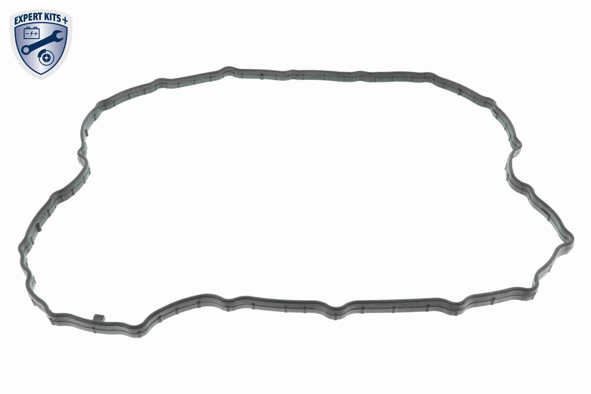 Hydraulic Filter Kit, automatic transmission - V52-0394