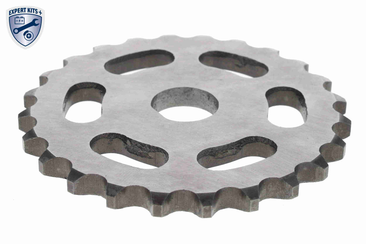 Timing Chain Kit - V10-10019