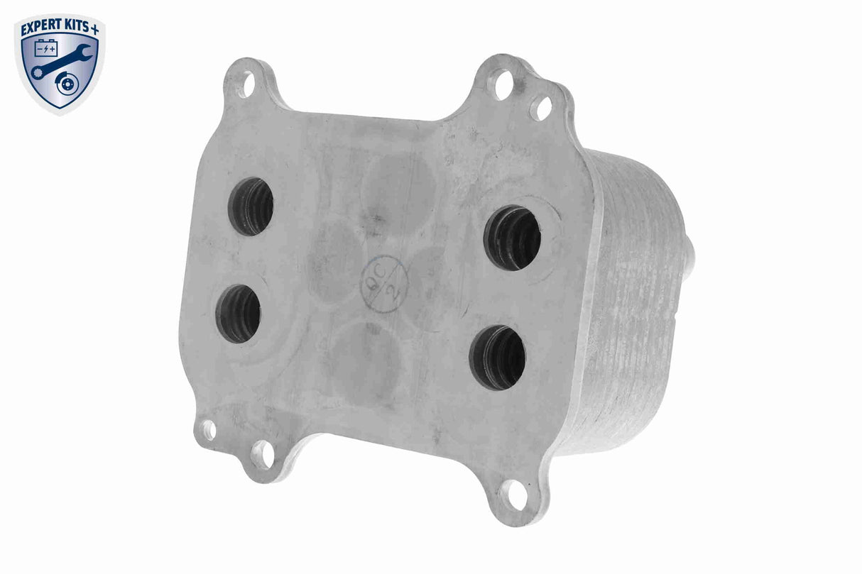 Oil Cooler, engine oil - V10-60-0066
