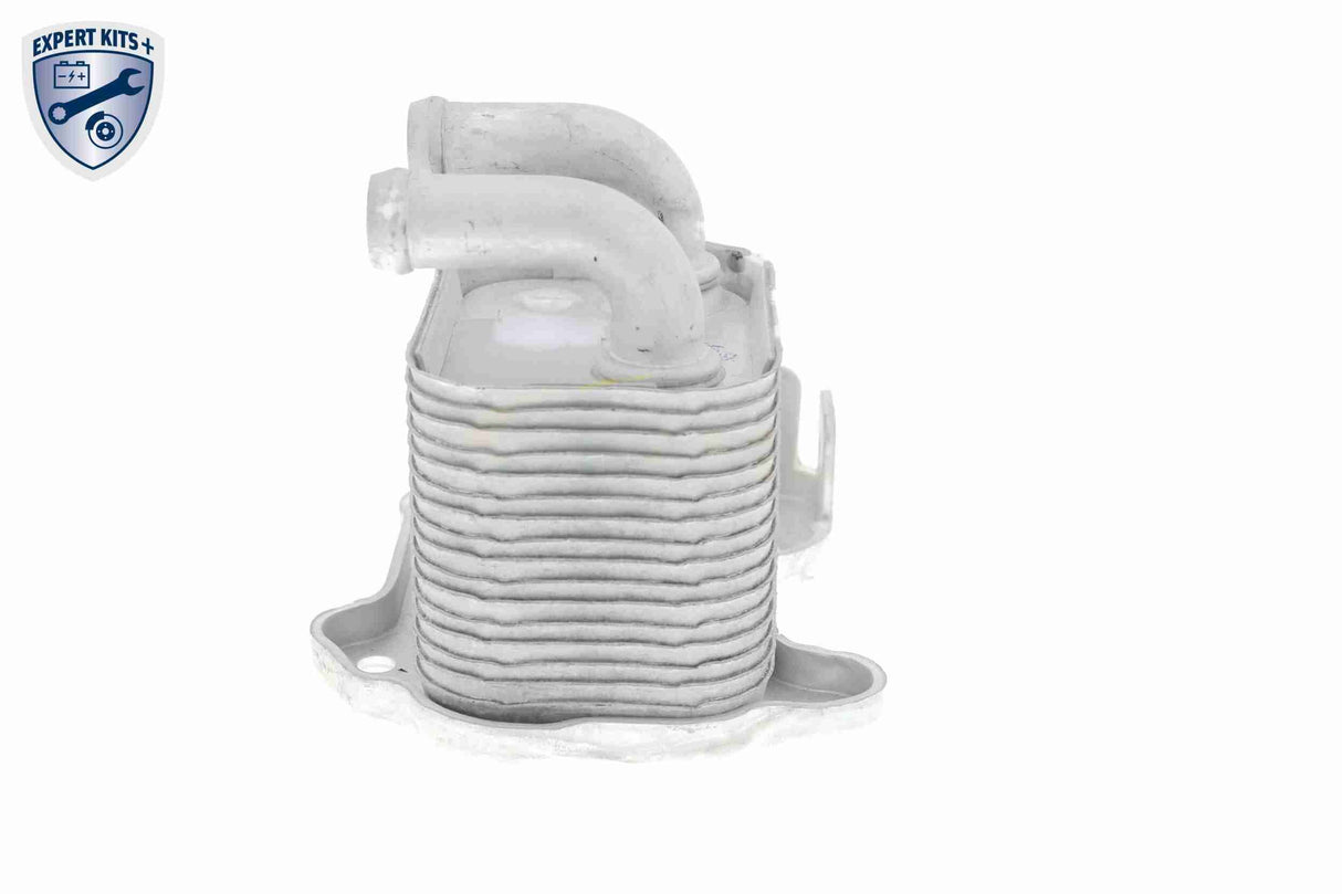 Oil Cooler, engine oil - V40-60-2105