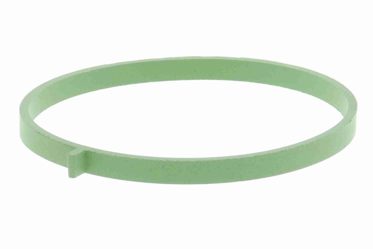 Gasket, throttle body - V10-81-0130