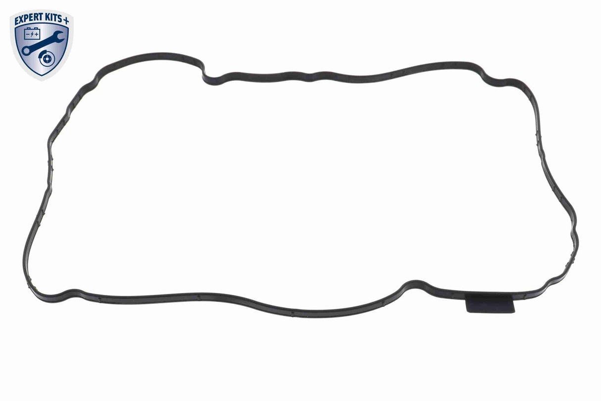 Parts Kit, automatic transmission oil change - V30-3957-XXL