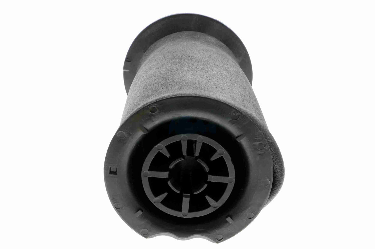 Air Suspension Strut - V20-50-0022-1