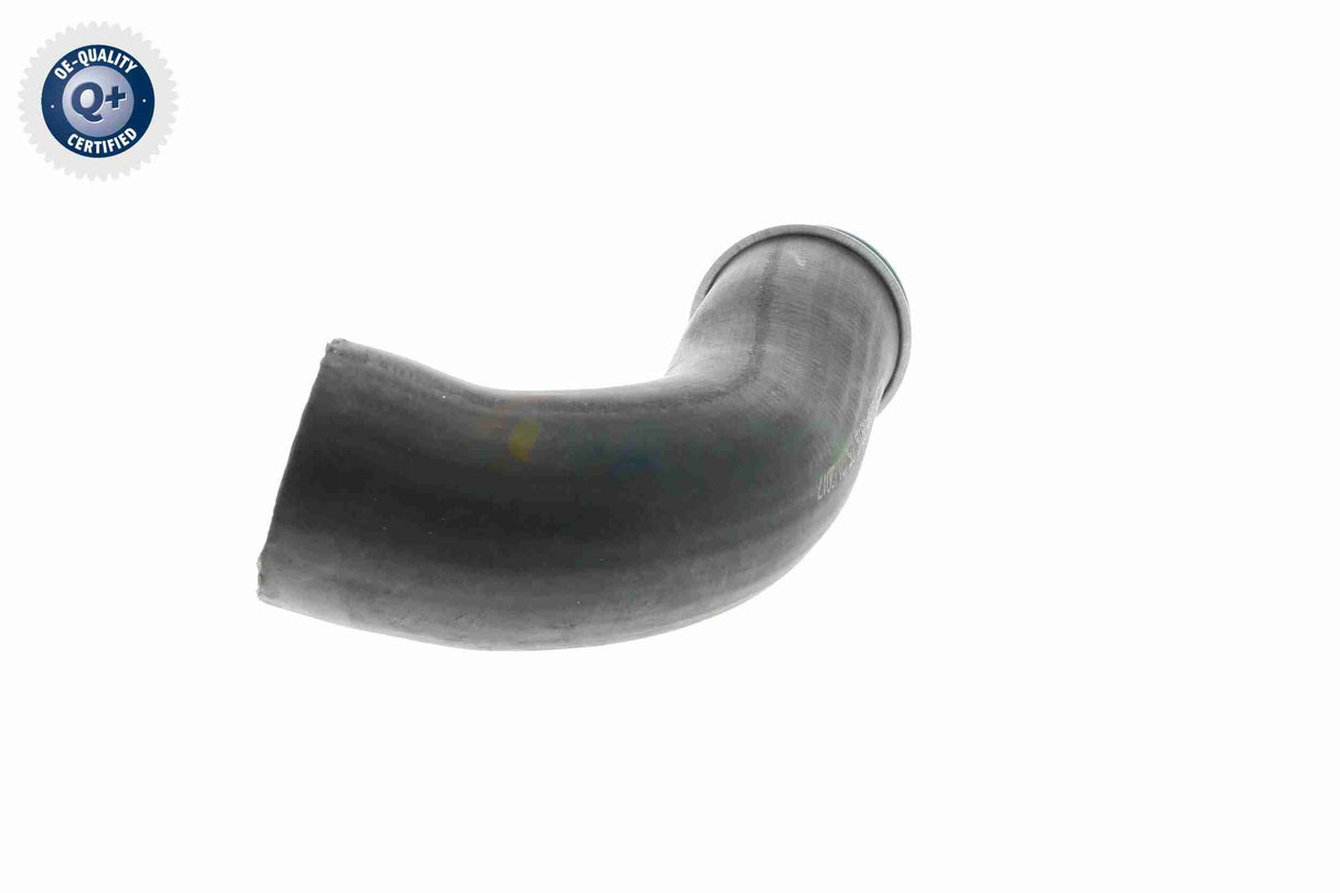 Charge Air Hose - V10-3816