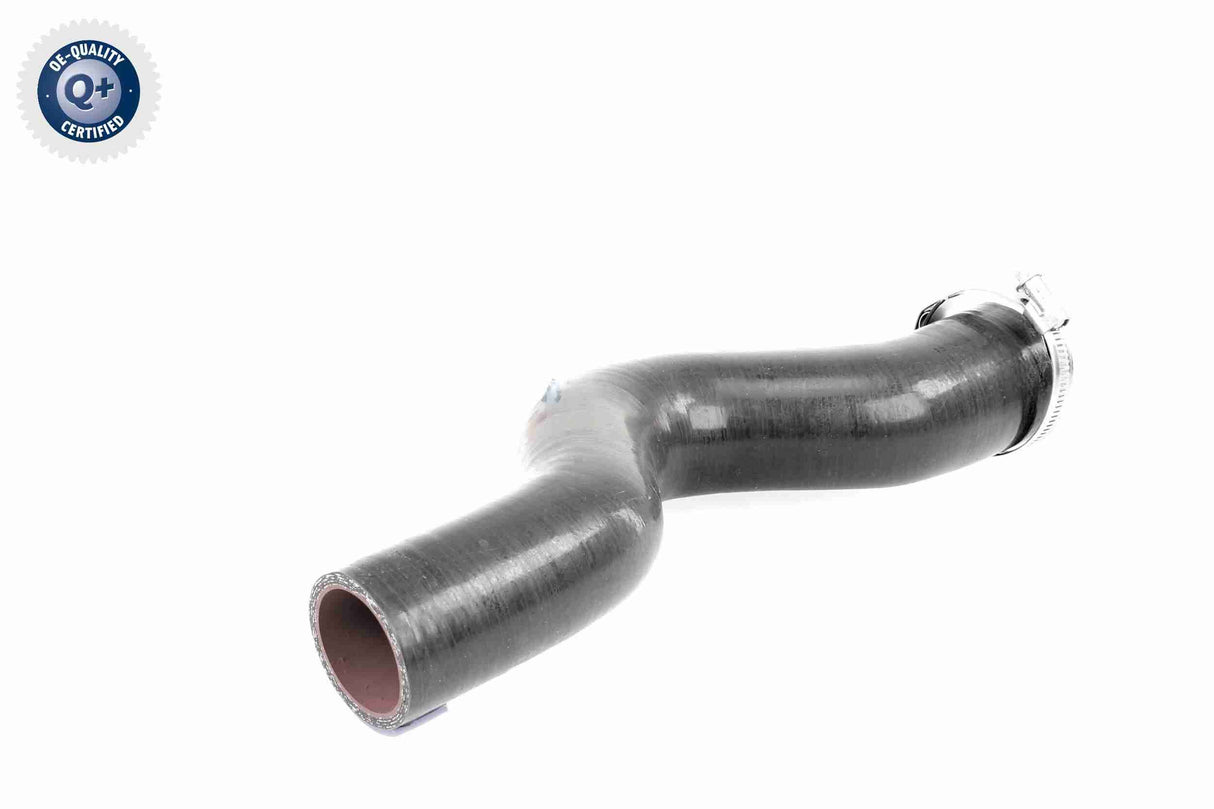 Charge Air Hose - V46-1034