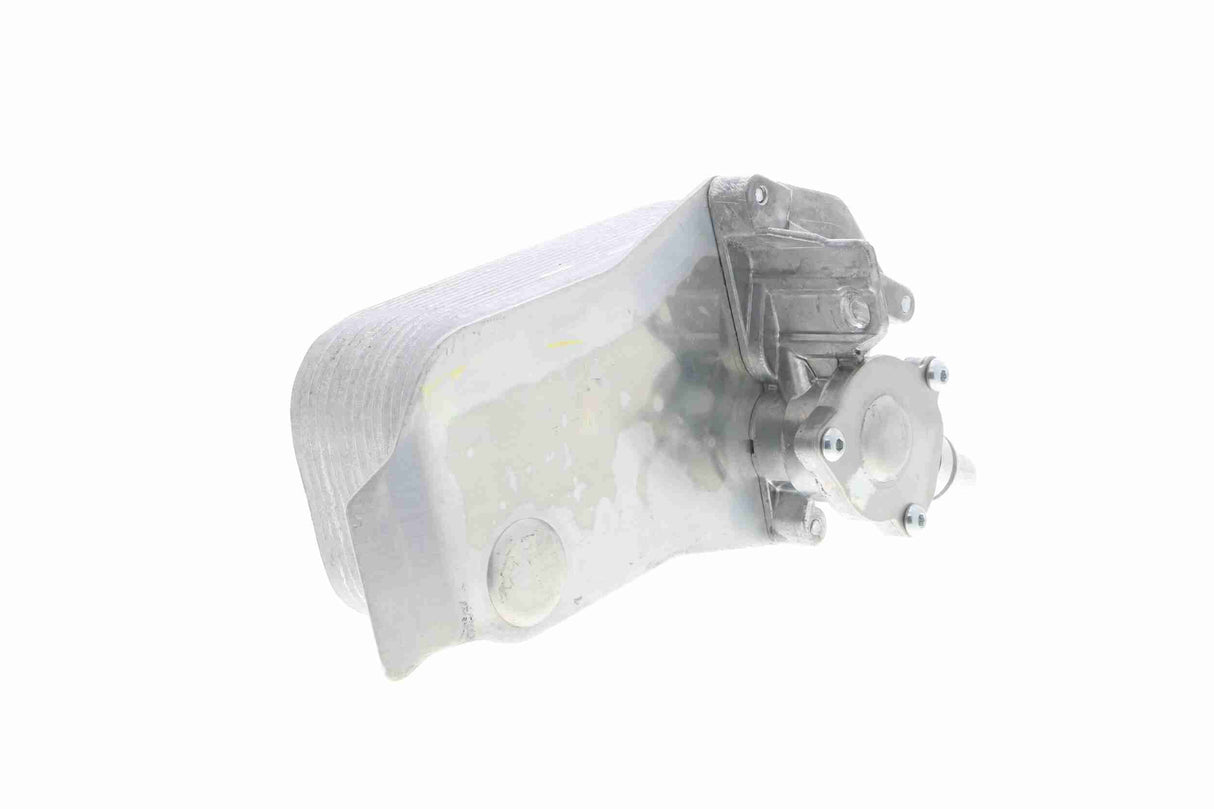 Oil Cooler, engine oil - V20-60-0040