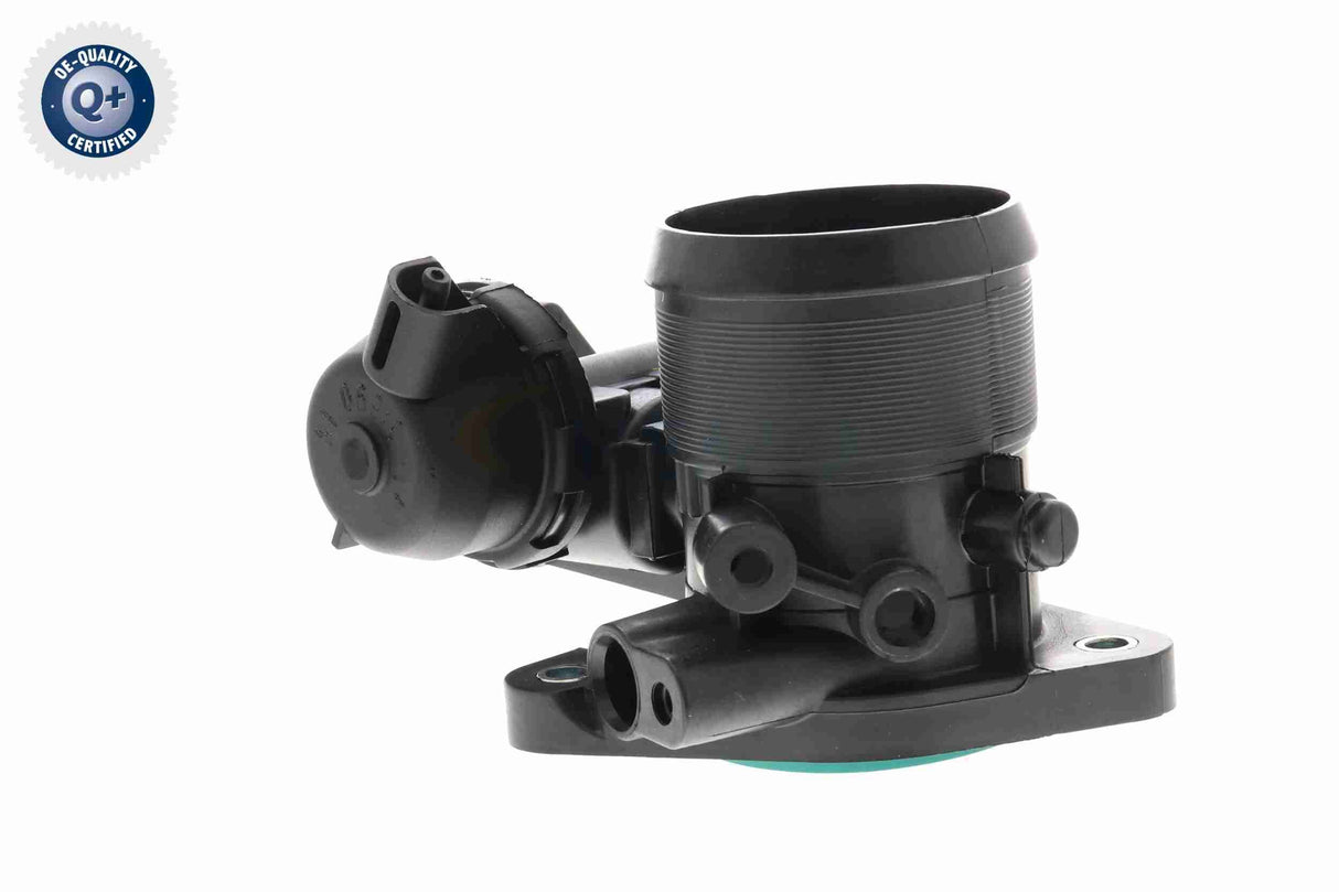 Throttle Body - V25-81-0013