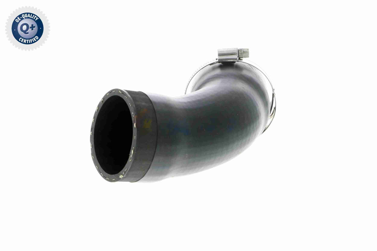 Charge Air Hose - V10-2831