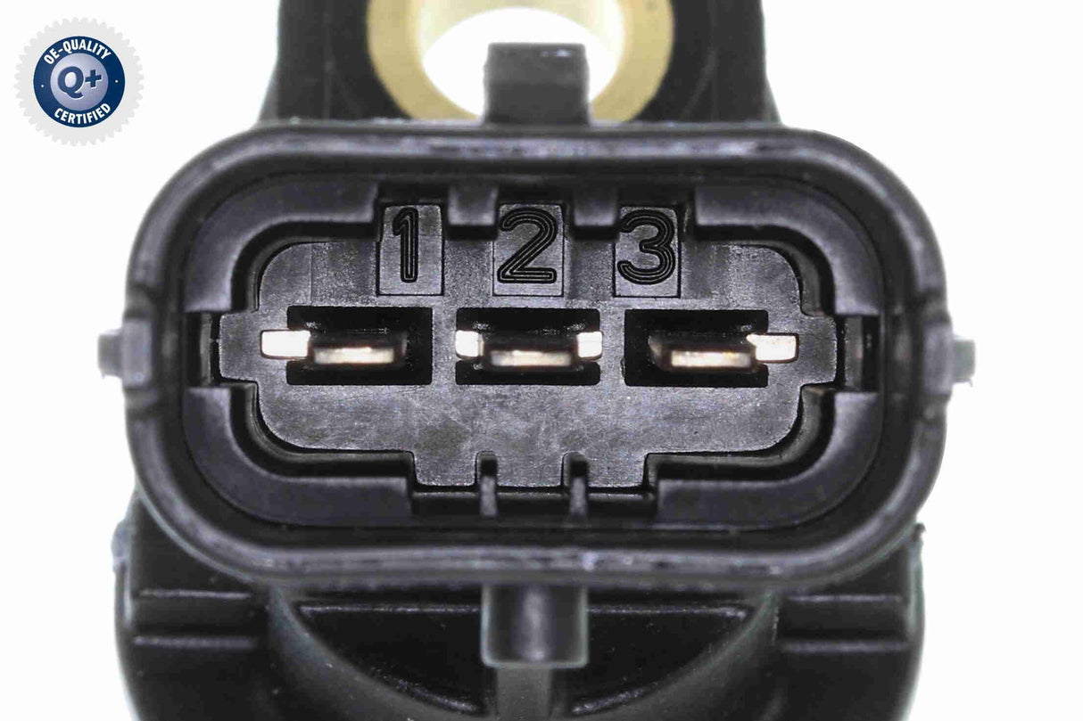 Sensor, camshaft position - V25-72-0136