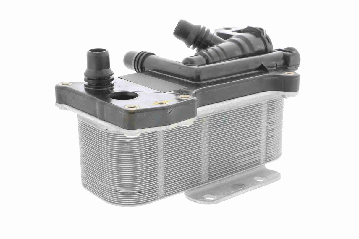 Oil Cooler, engine oil - V20-60-0059