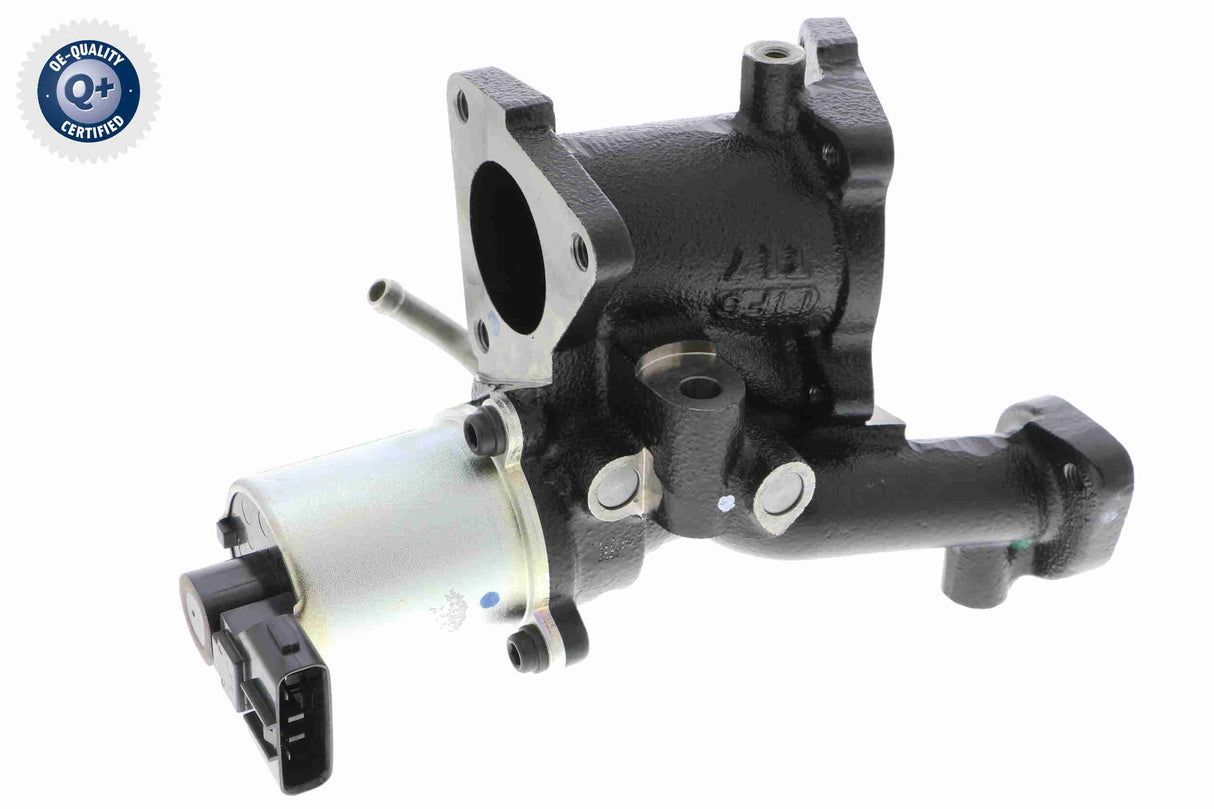 Valve, exhaust gas recirculation - V40-63-0017