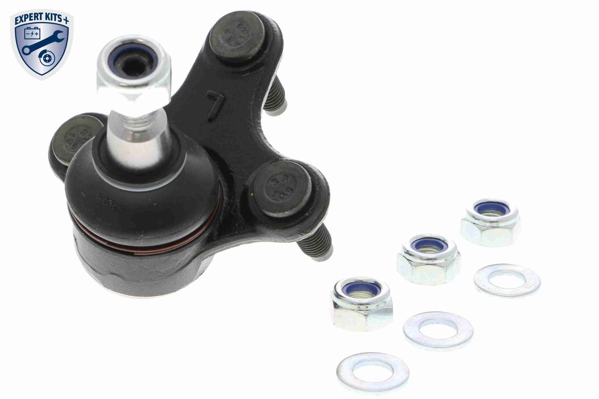 Control/Trailing Arm Kit, wheel suspension - V10-5977