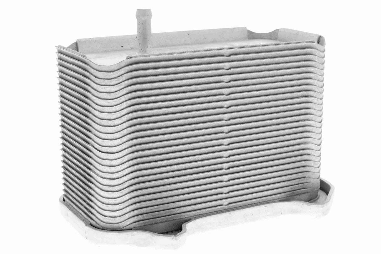 Oil Cooler, engine oil - V45-60-0002