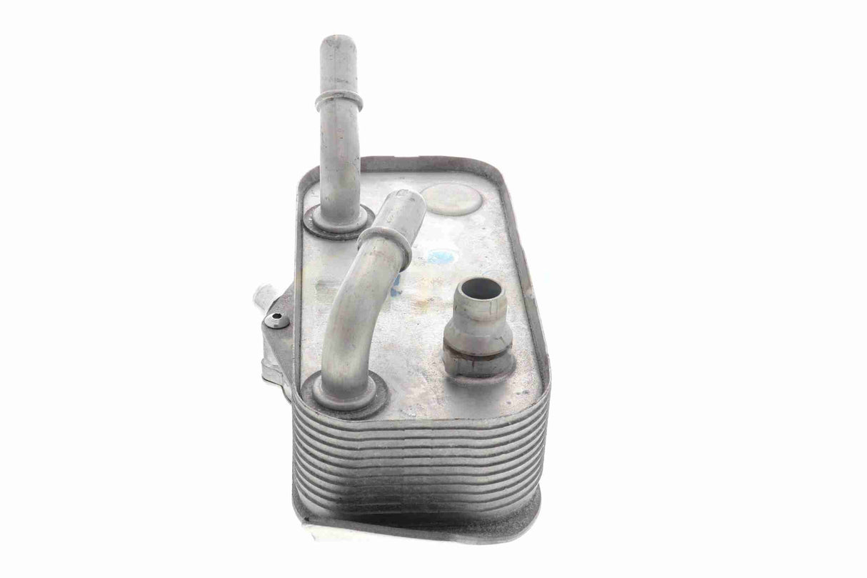 Oil Cooler, automatic transmission - V20-60-1552