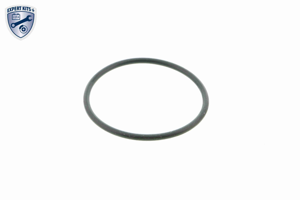 Thermostat Housing - V30-99-0109