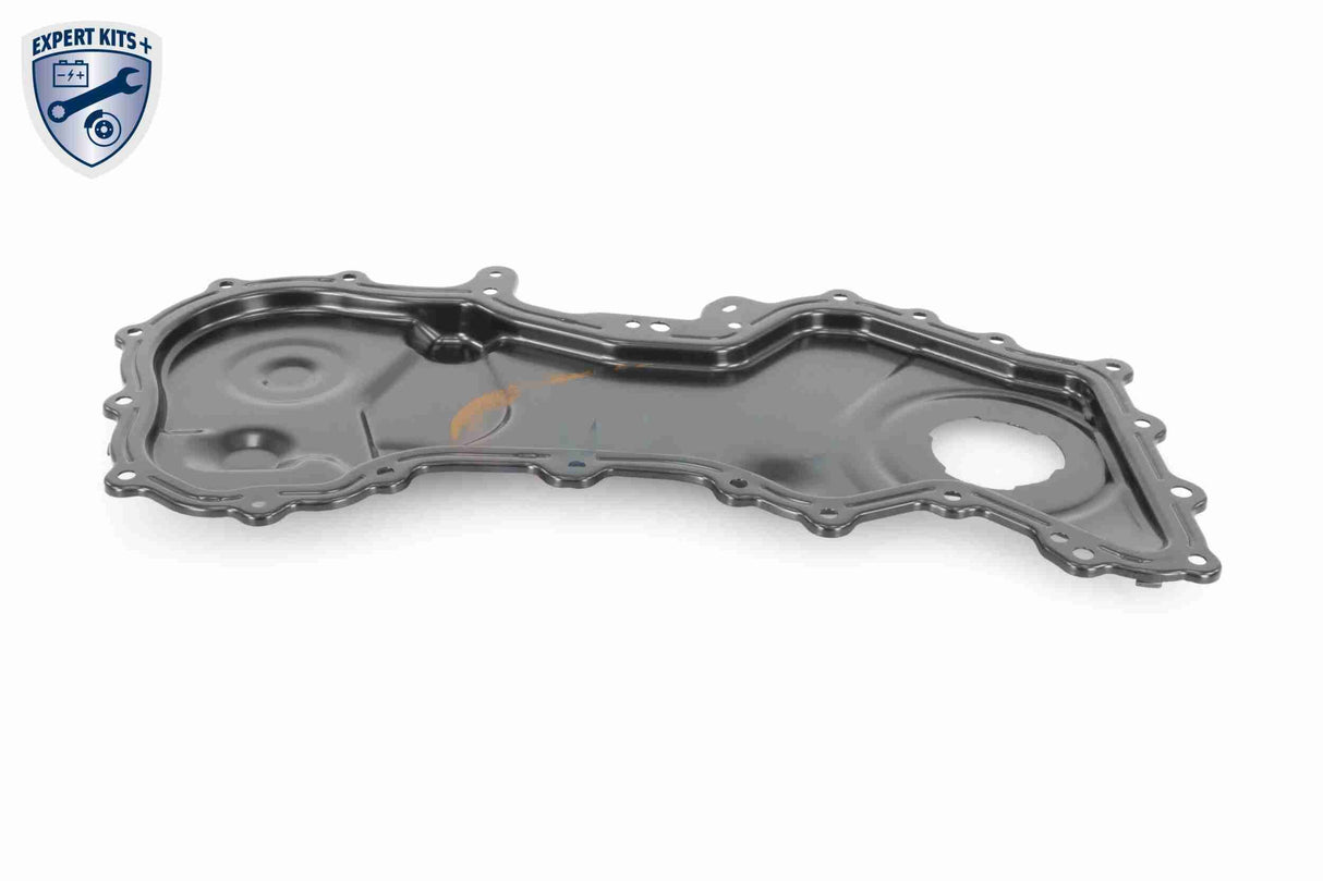 Timing Case Cover - V46-1514