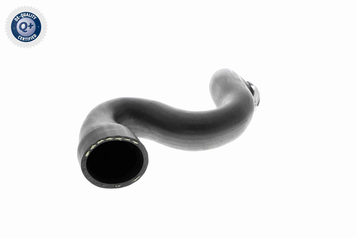 Charge Air Hose - V10-2917