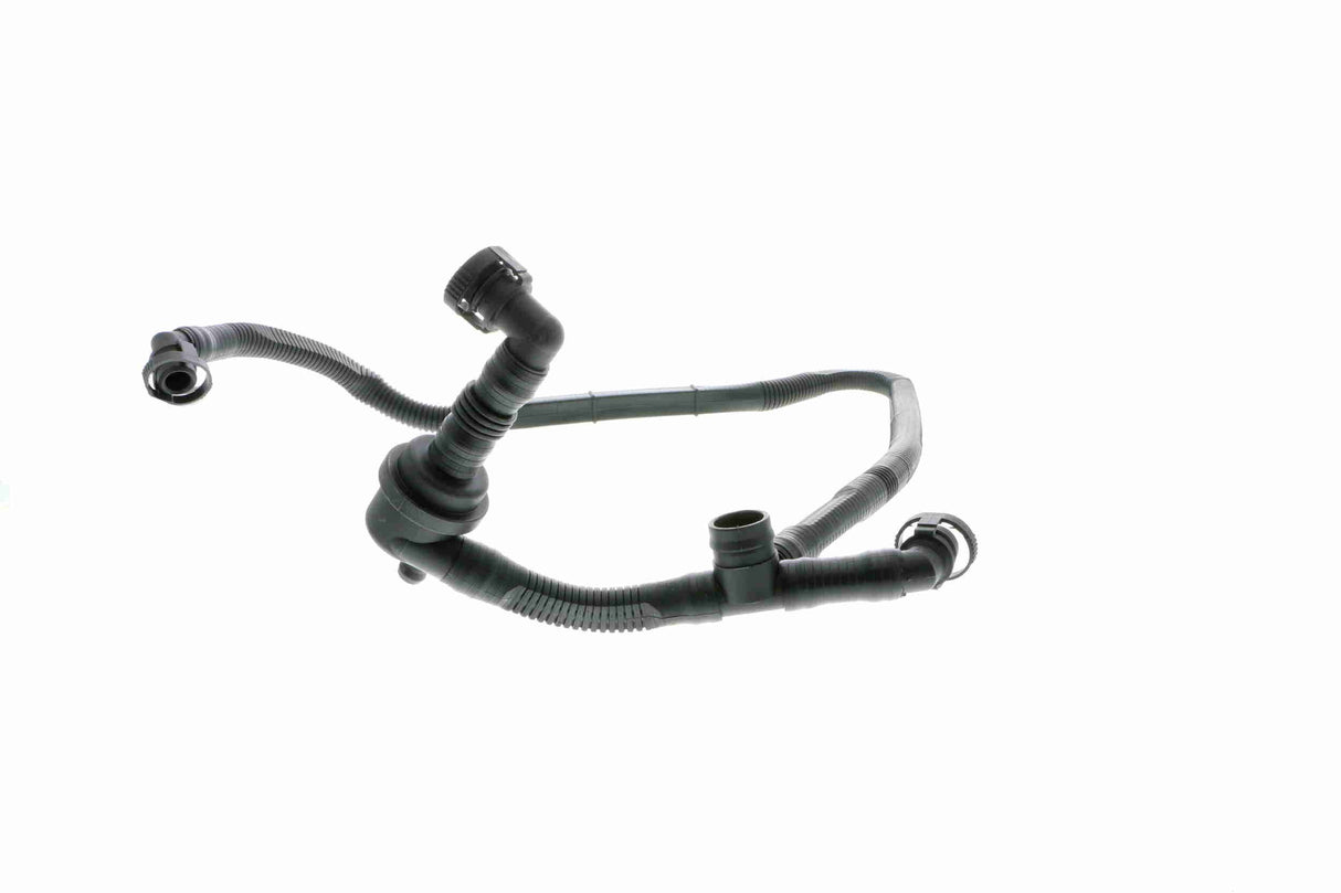 Hose, crankcase ventilation - V10-2677