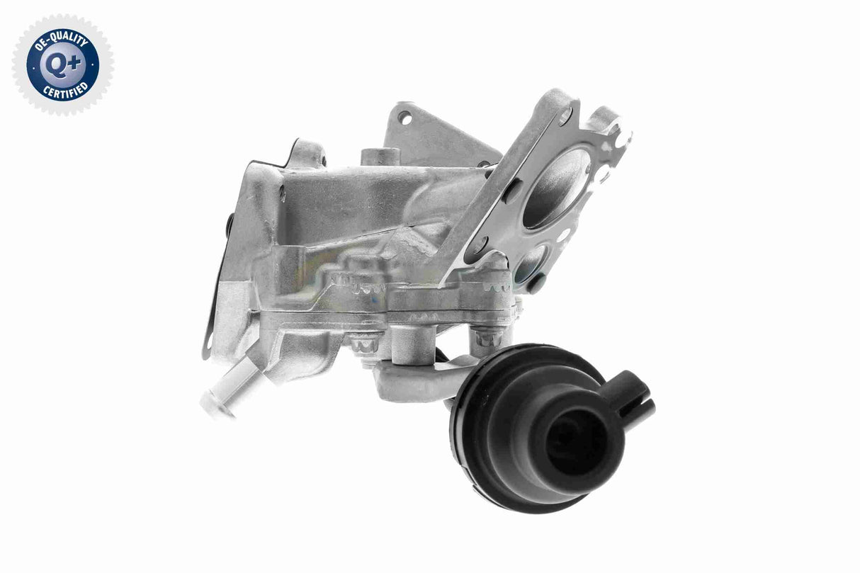 Valve, exhaust gas recirculation - V30-63-0080