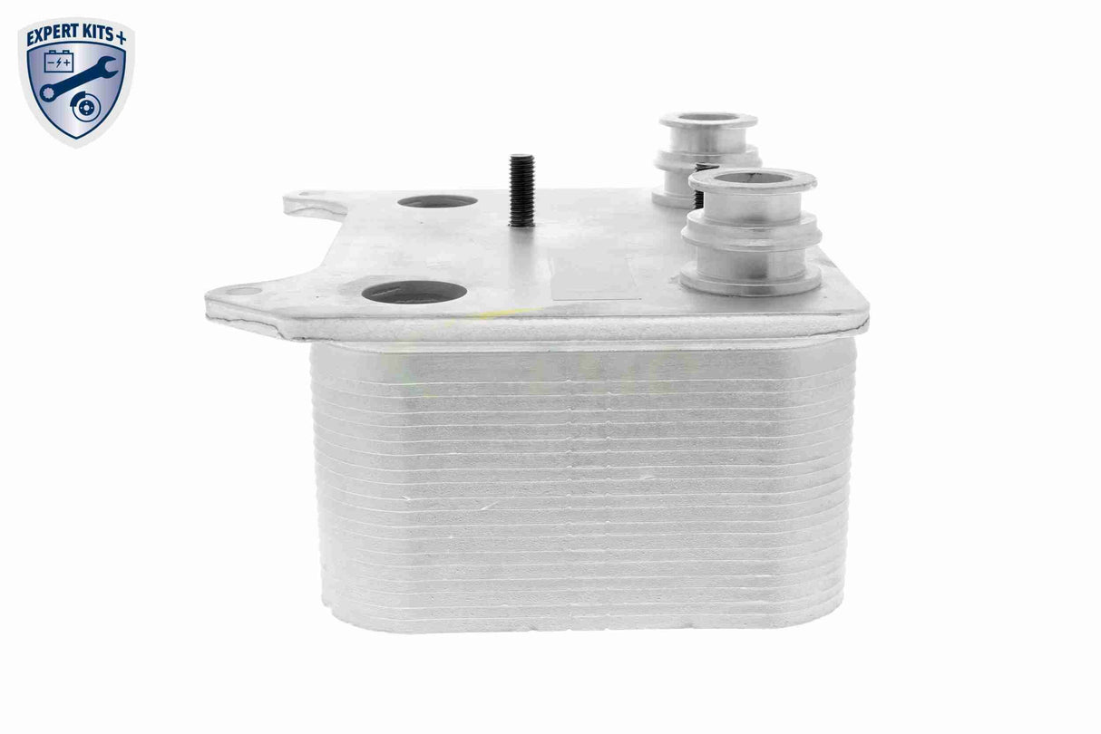 Oil Cooler, engine oil - V25-60-0038