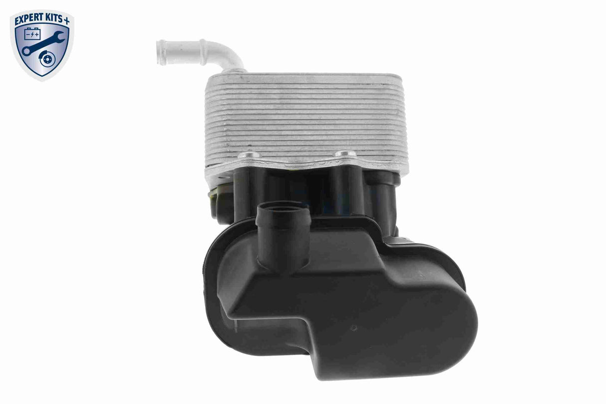 Oil filter module - V15-60-6080