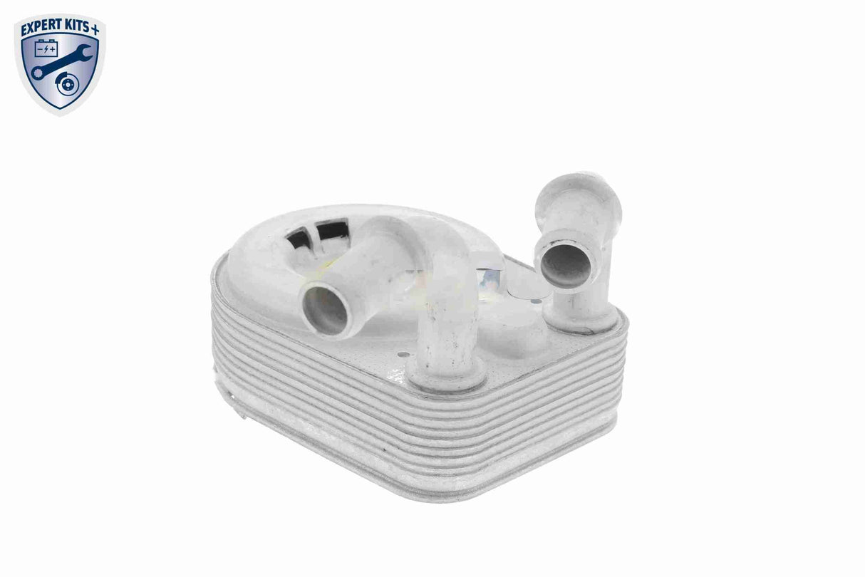 Oil Cooler, engine oil - V24-60-0013