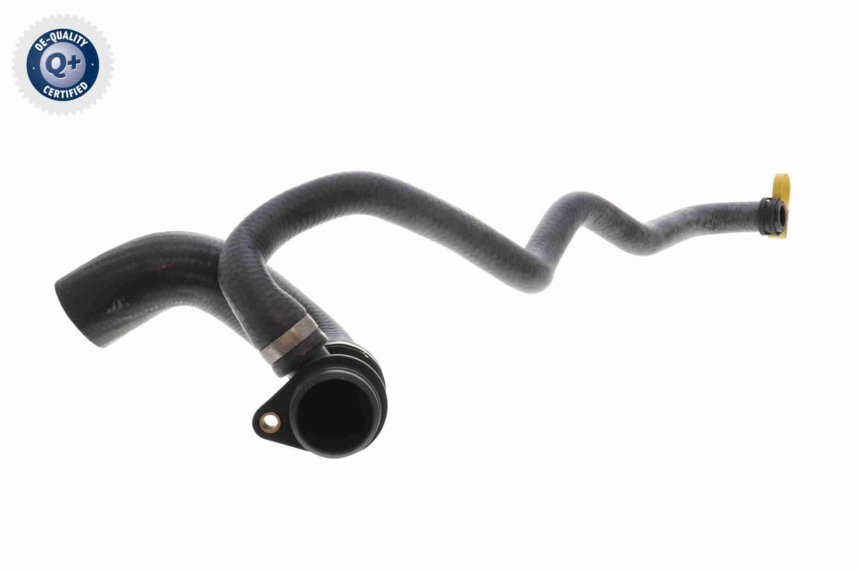 Radiator Hose - V20-3041