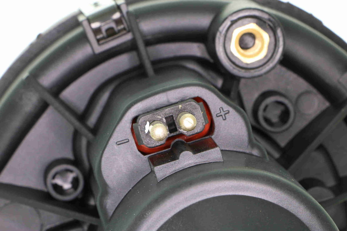 Secondary Air Pump - V45-63-0005