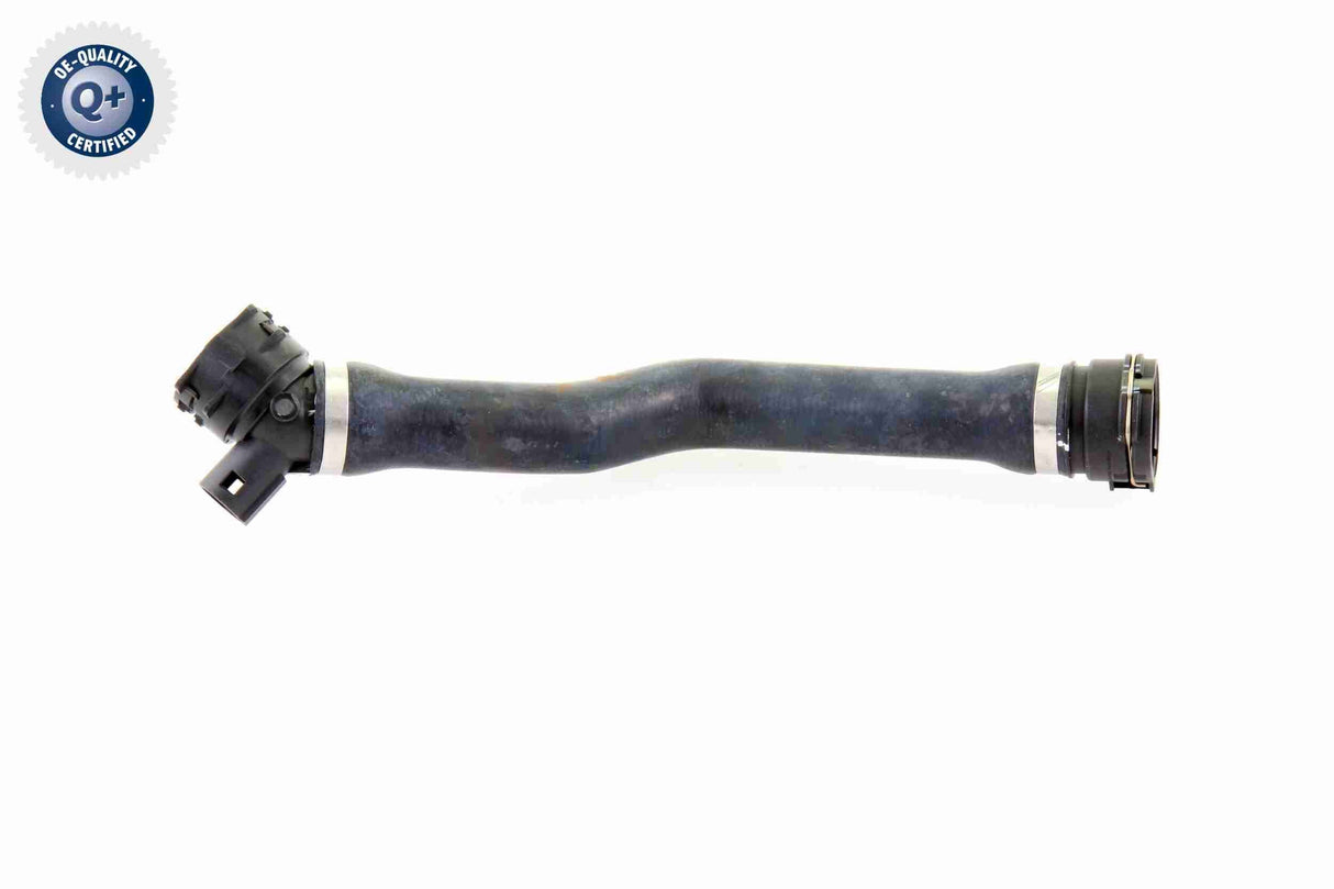 Radiator Hose - V20-1763