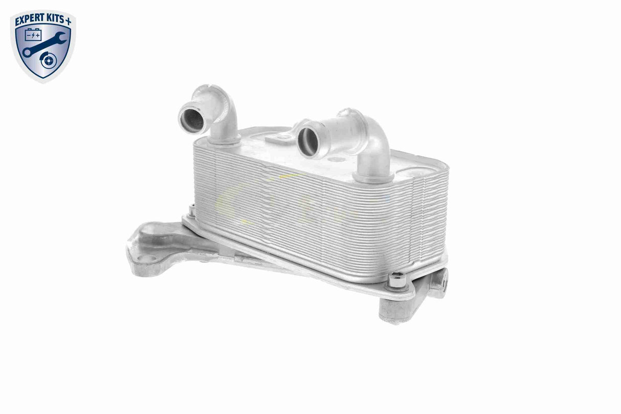 Oil Cooler, engine oil - V15-60-6073