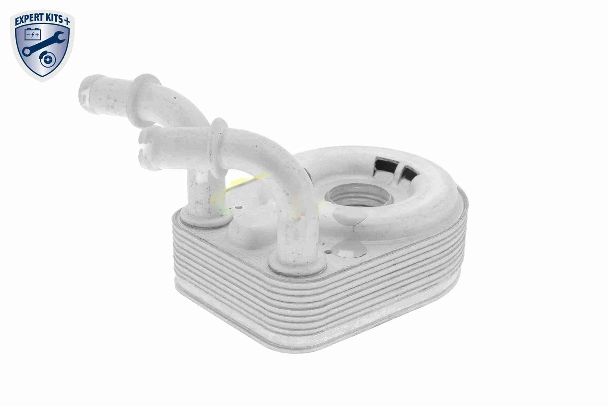Oil Cooler, engine oil - V24-60-0013