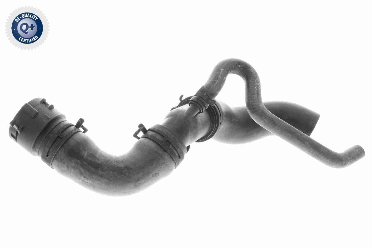 Radiator Hose - V10-3915