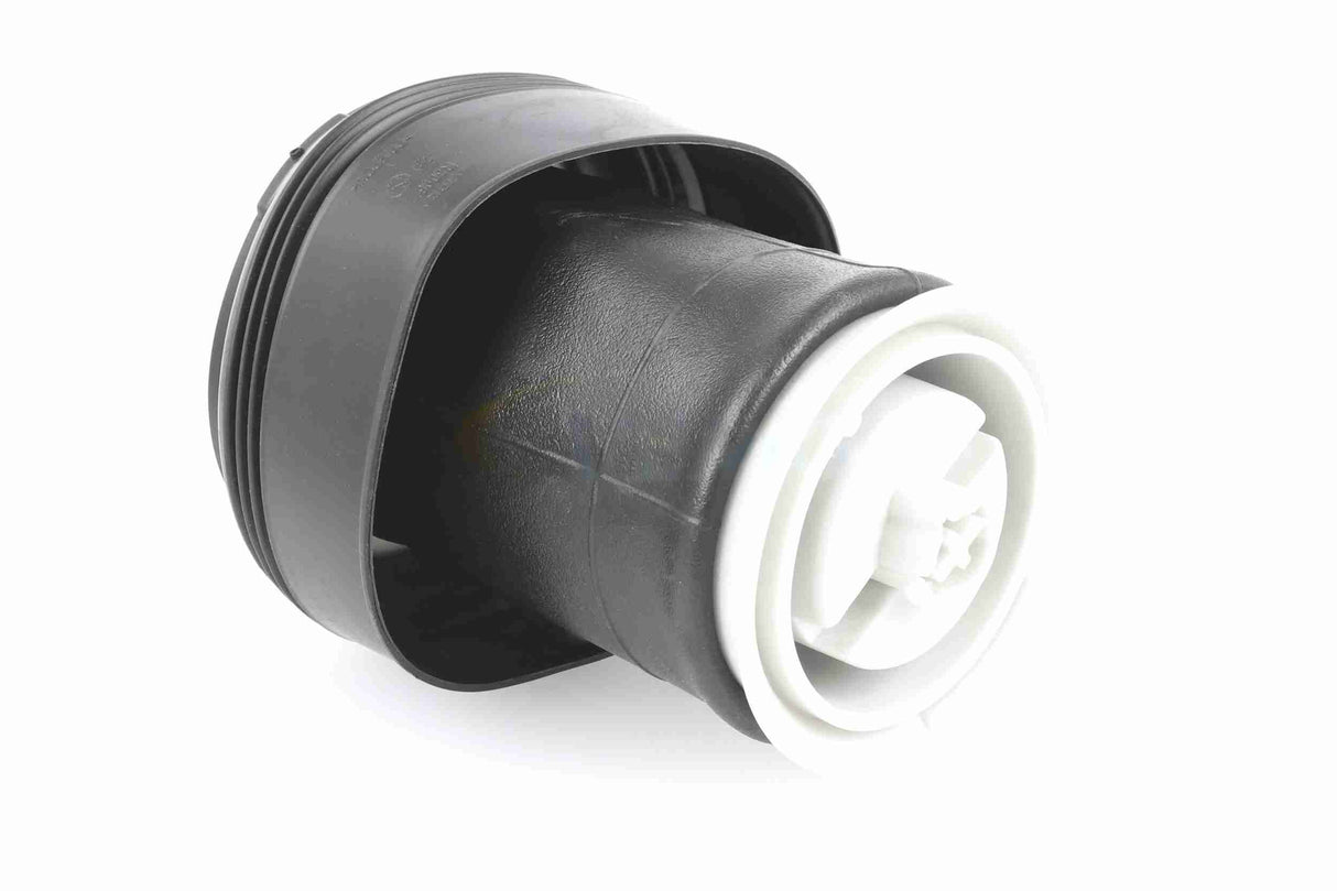 Air Suspension Strut - V20-50-0006-1