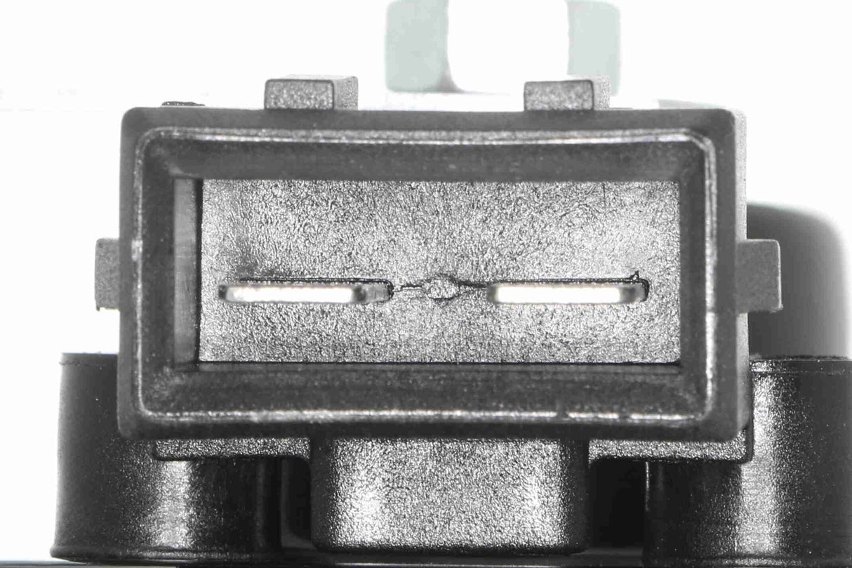 Signal Horn - V10-77-0911