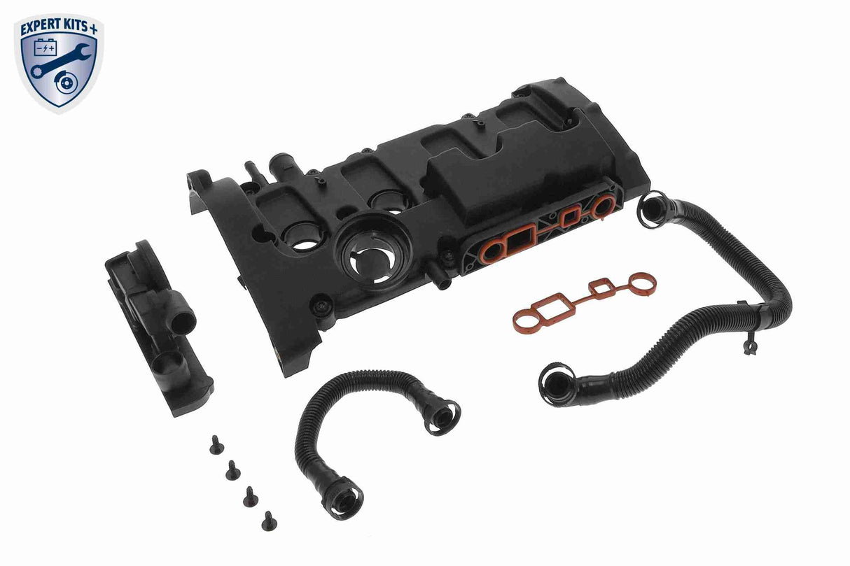 Cylinder Head Cover - V10-4149