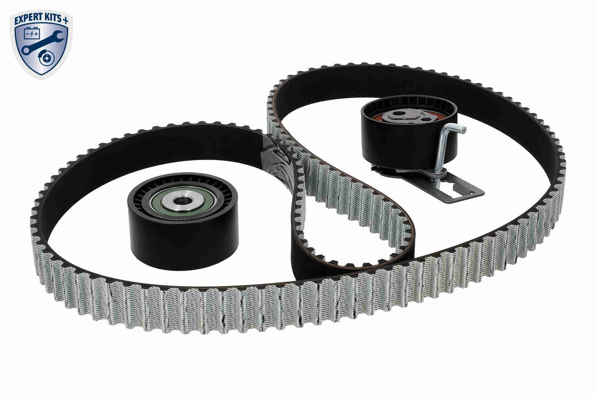 Timing Belt Kit - V22-0947