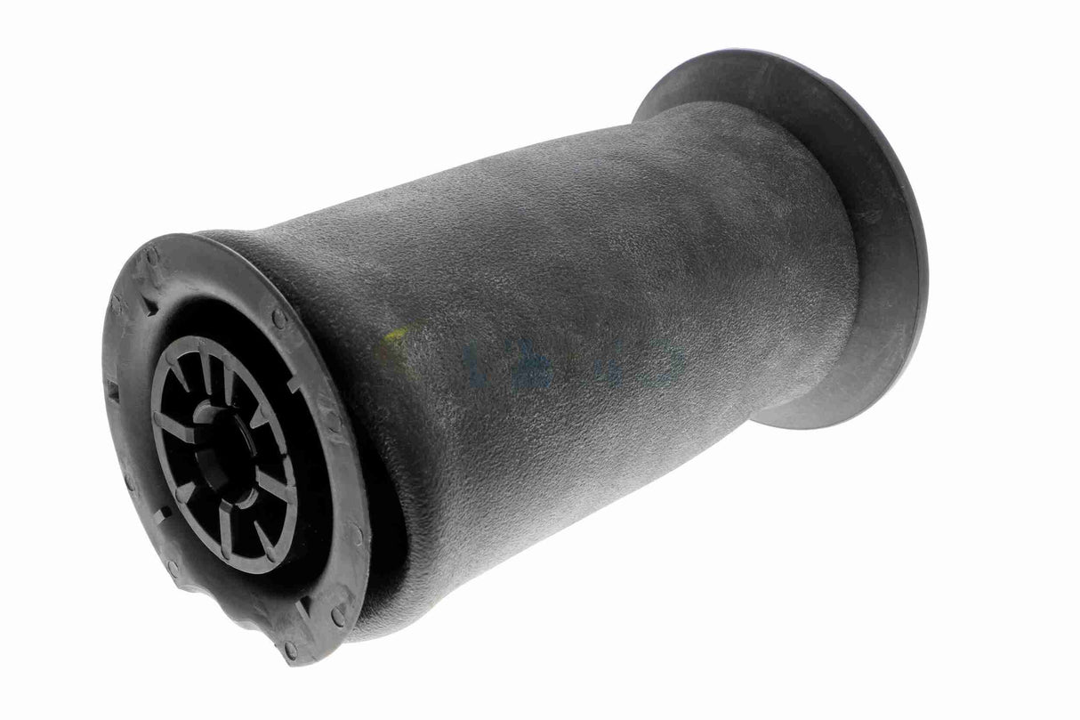 Air Suspension Strut - V20-50-0022-1
