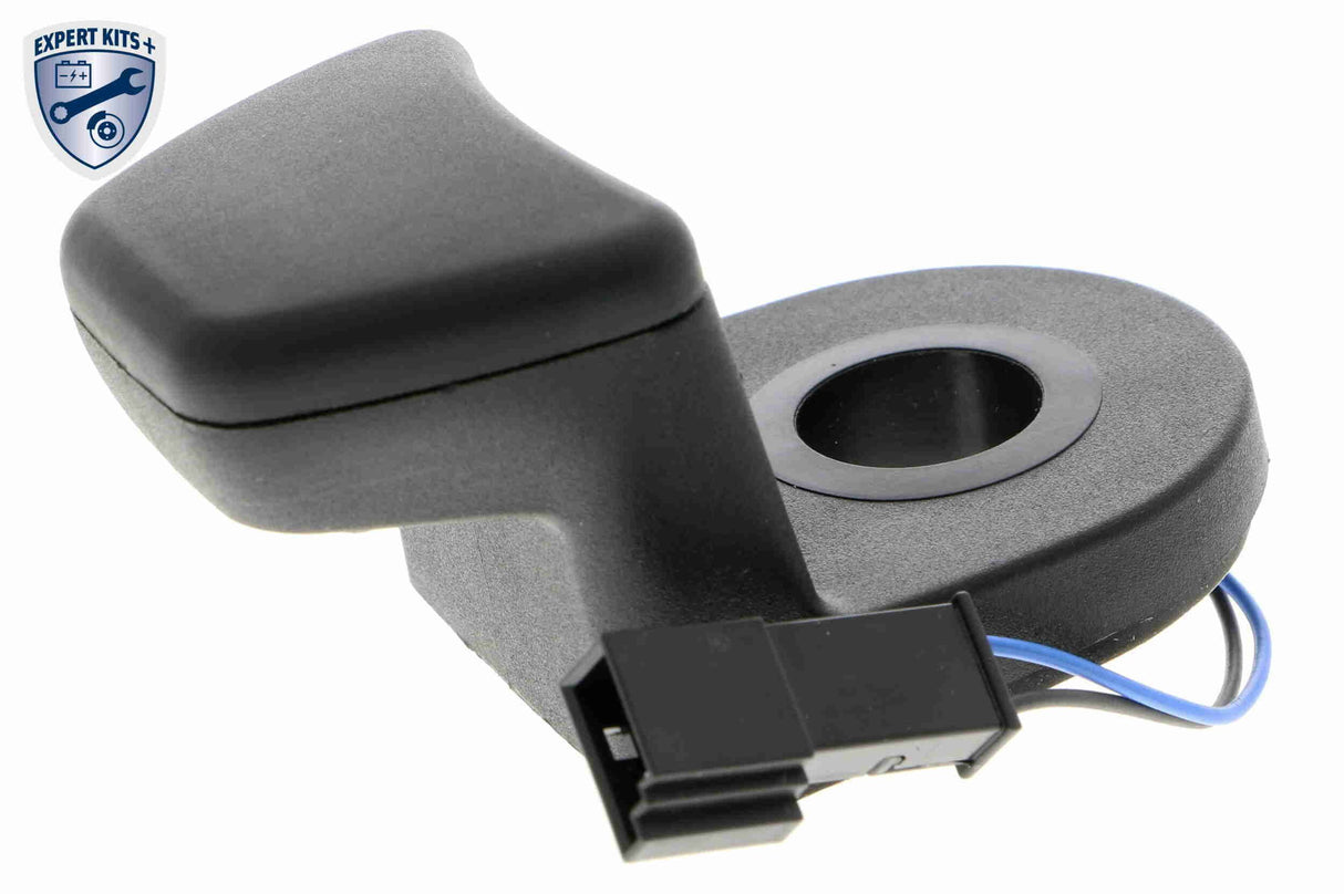 Switch, tailgate release - V20-73-0193