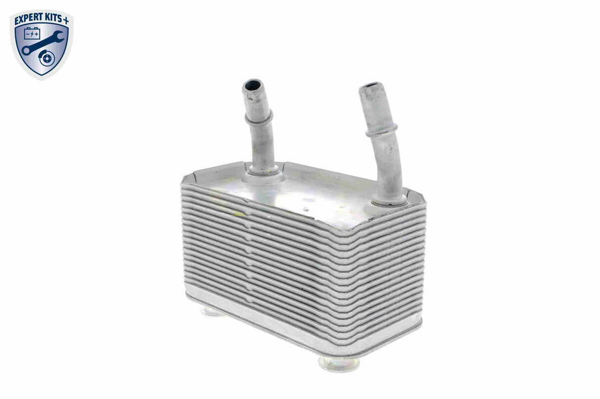 Oil Cooler, automatic transmission - V20-60-0003