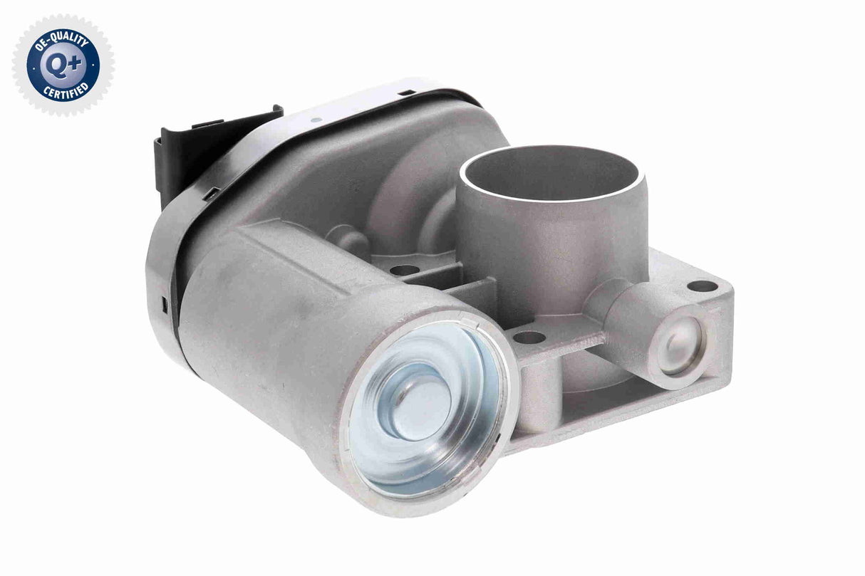Throttle Body - V24-81-0011