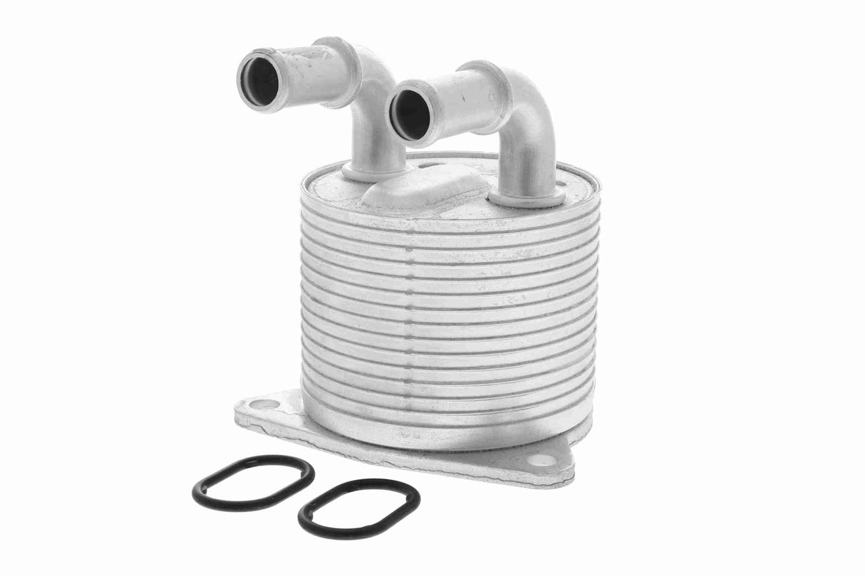 Oil Cooler, automatic transmission - V95-60-0018