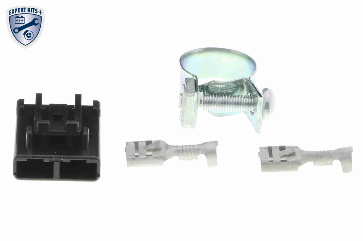 Fuel Pump - V10-09-0821