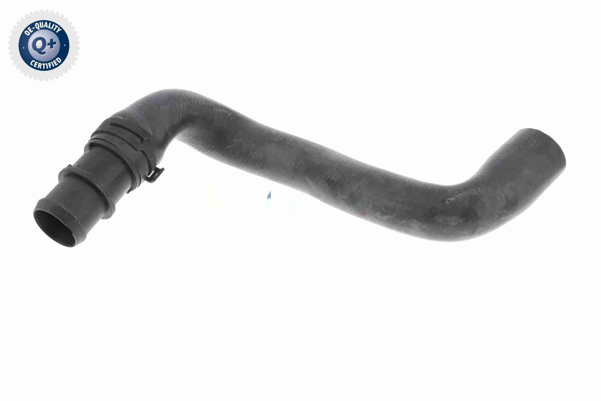 Radiator Hose - V20-2462