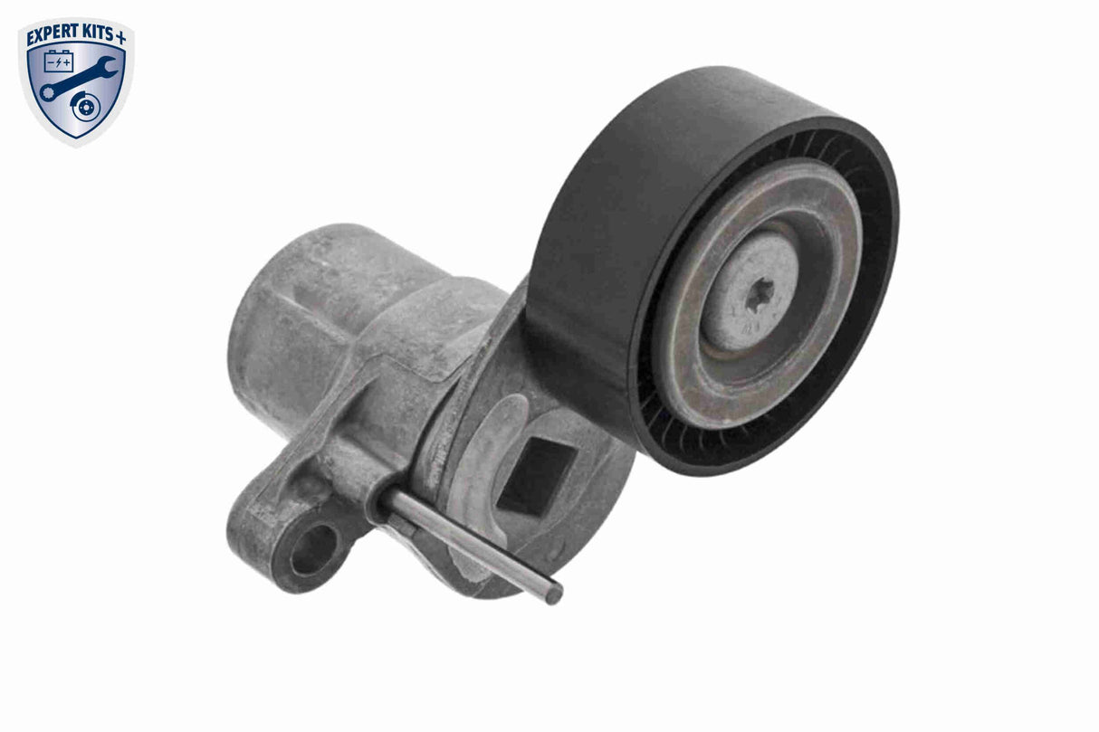 Timing Belt Kit - V25-3148