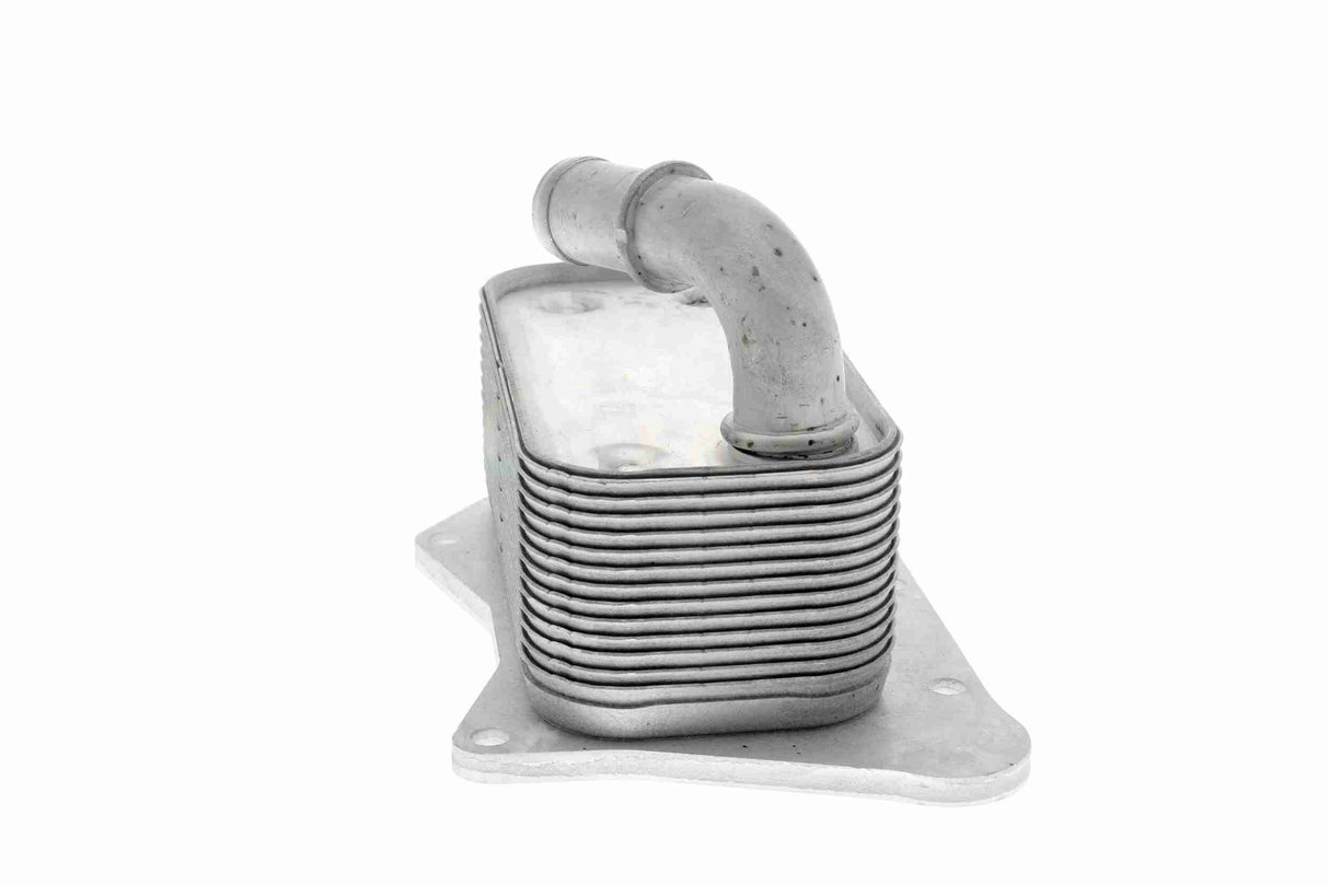 Oil Cooler, engine oil - V40-60-2099