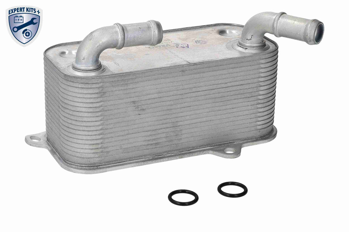 Oil Cooler, automatic transmission - V10-60-0106